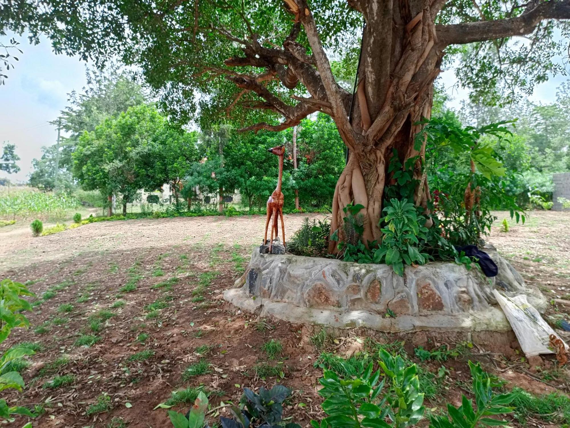 The Mara Resort Kitui Exterior photo